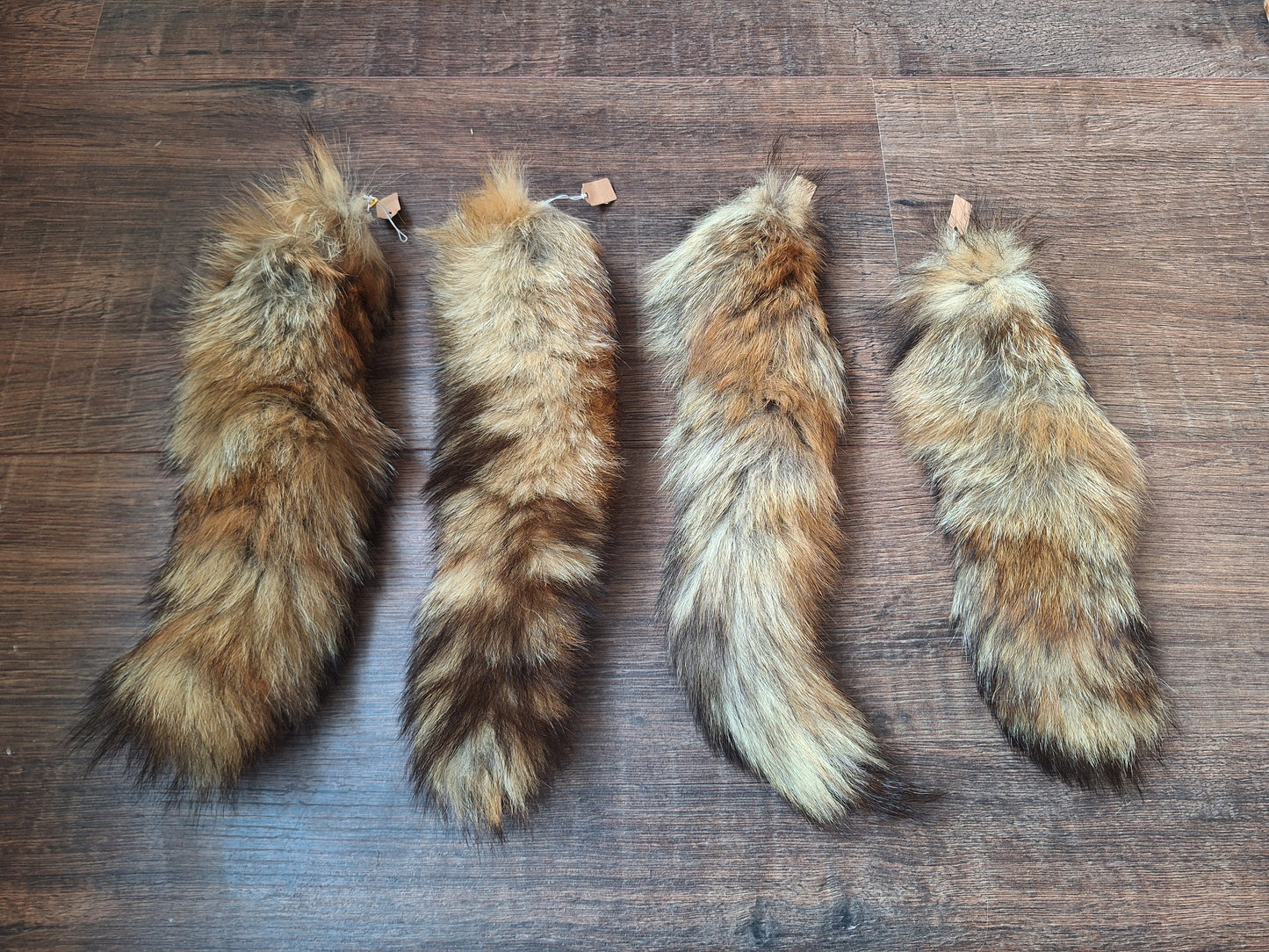 Red fox tails