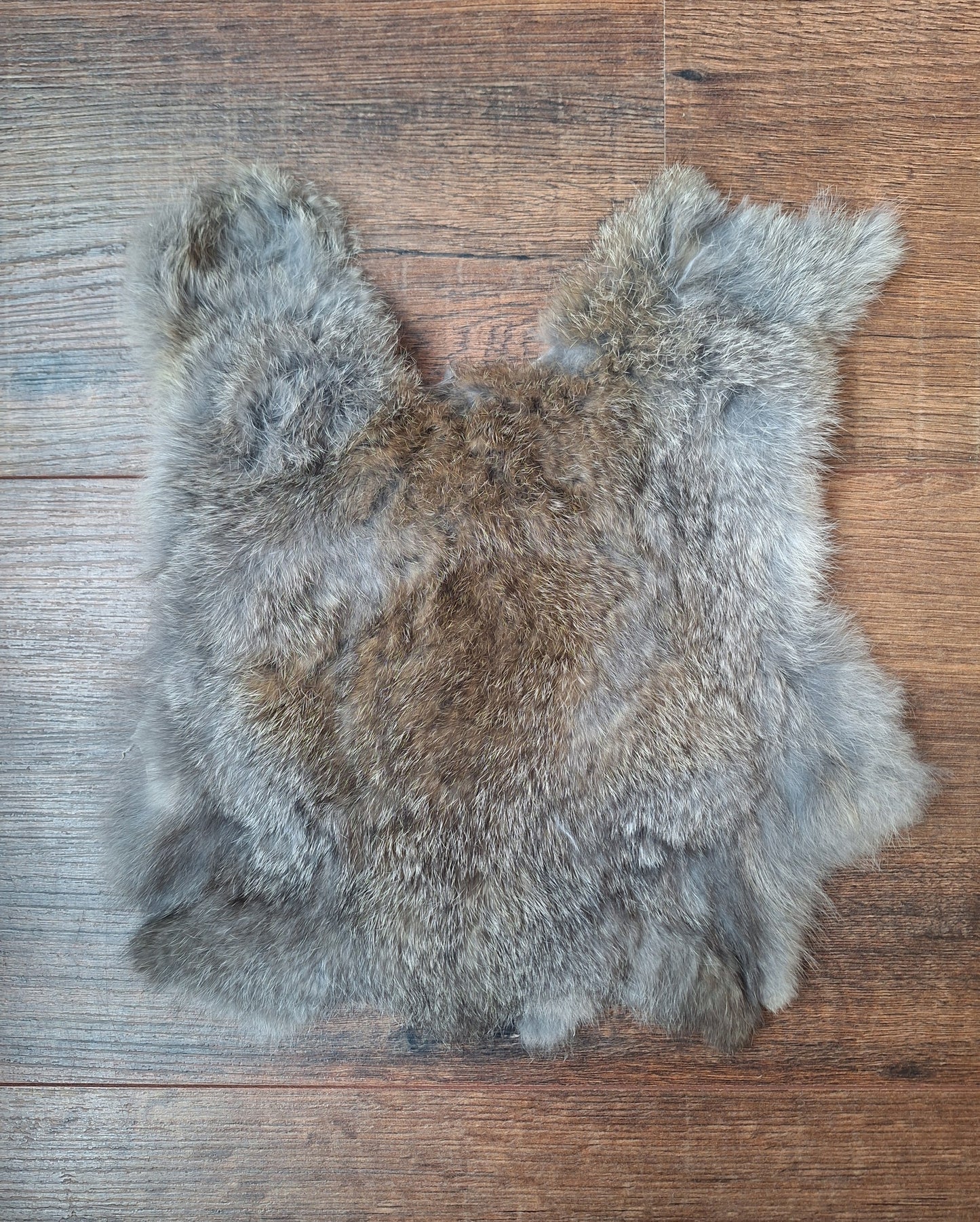 Rabbit hide #17