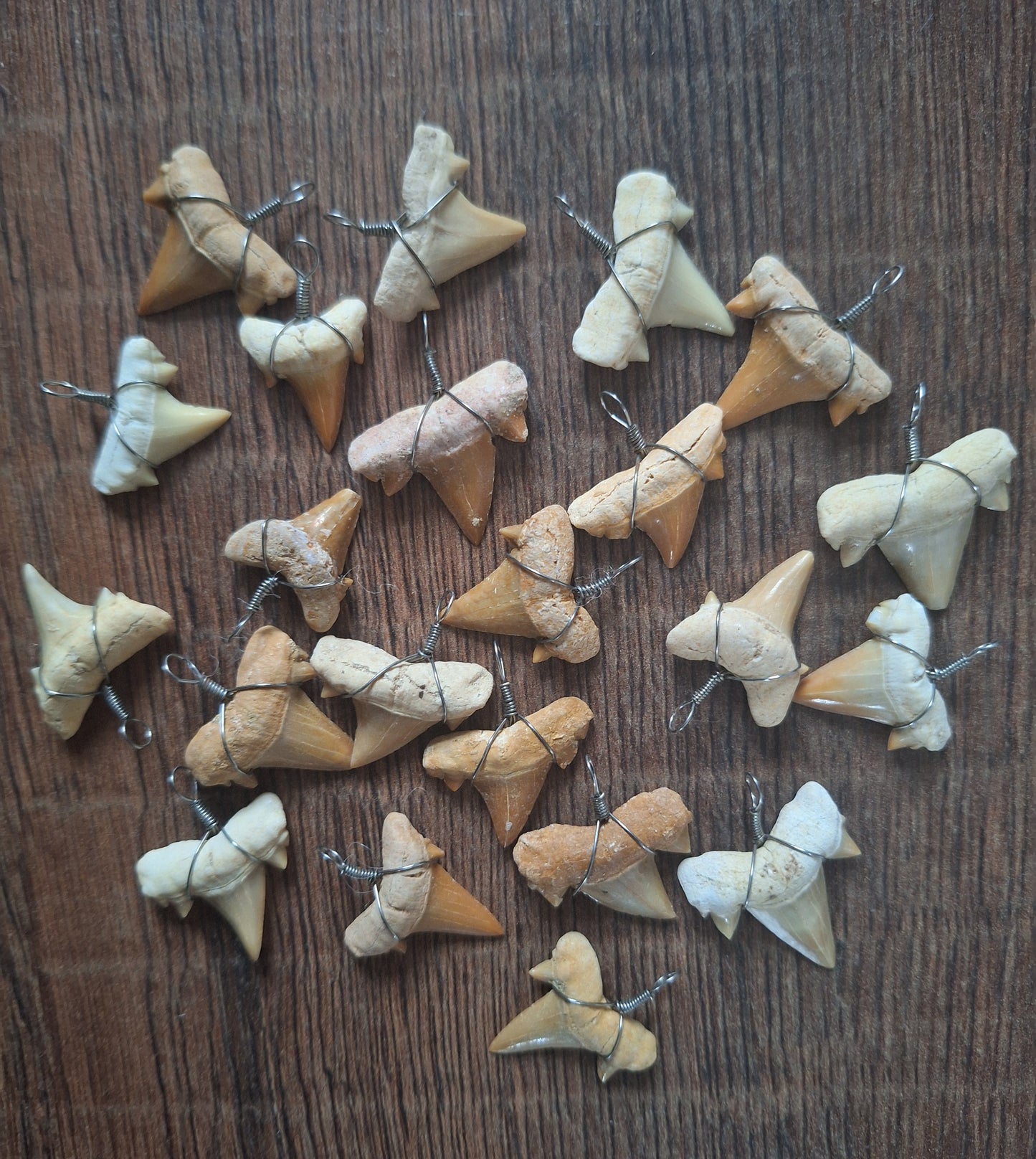 Shark tooth pendant