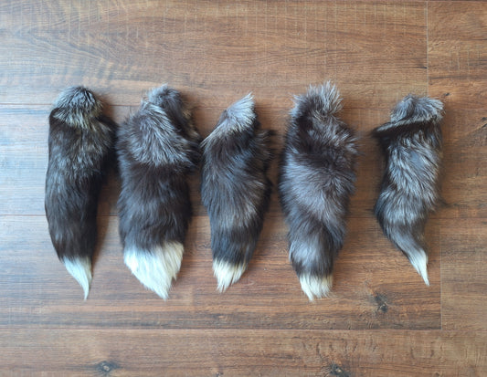 Silver fox tails