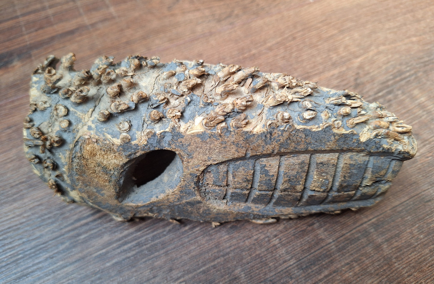 Nepalese palm tree root mask #8