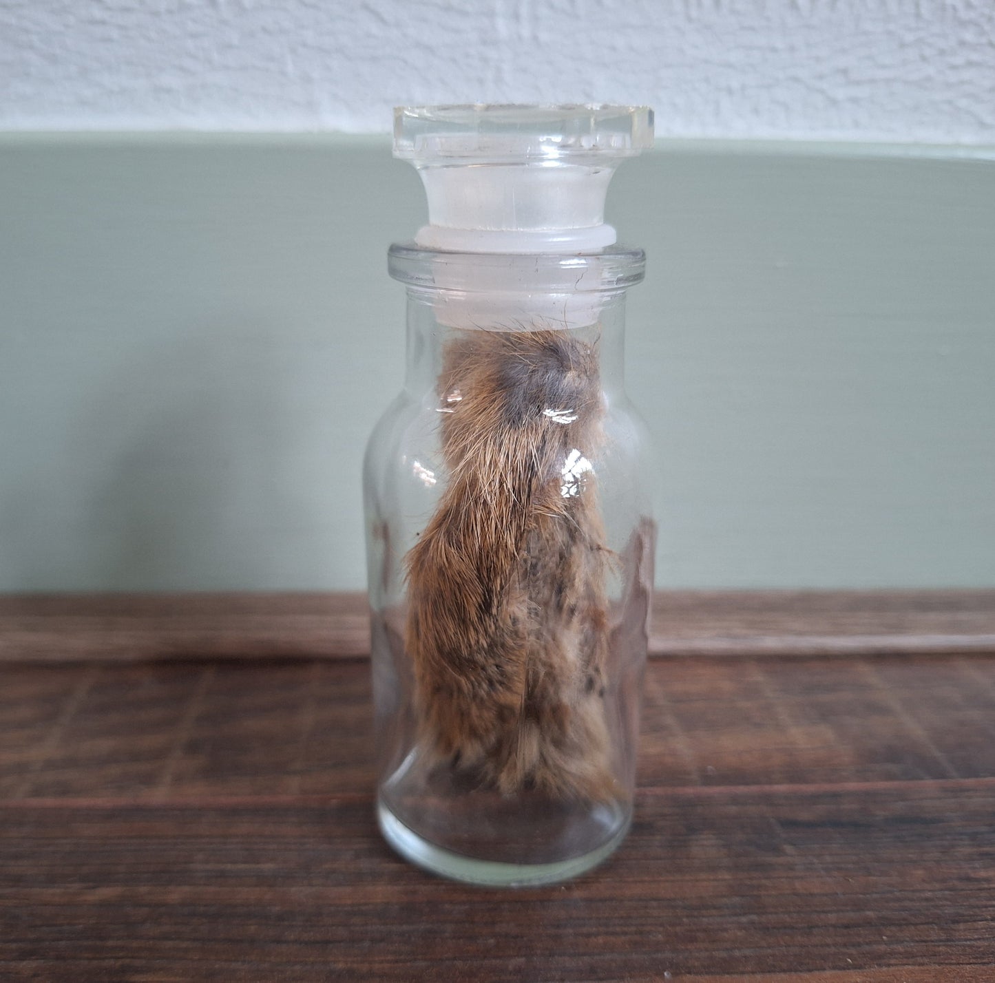 Hare paws, B-quality, in glass bottle