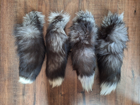 Silverfox tails