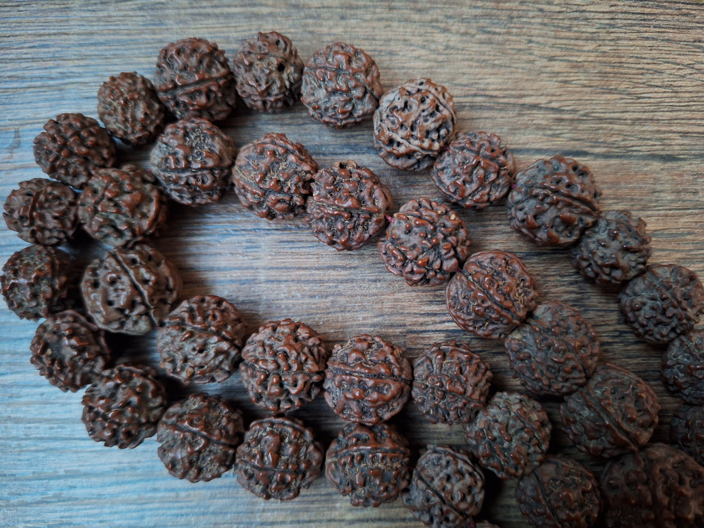 Rudraksha bead strand