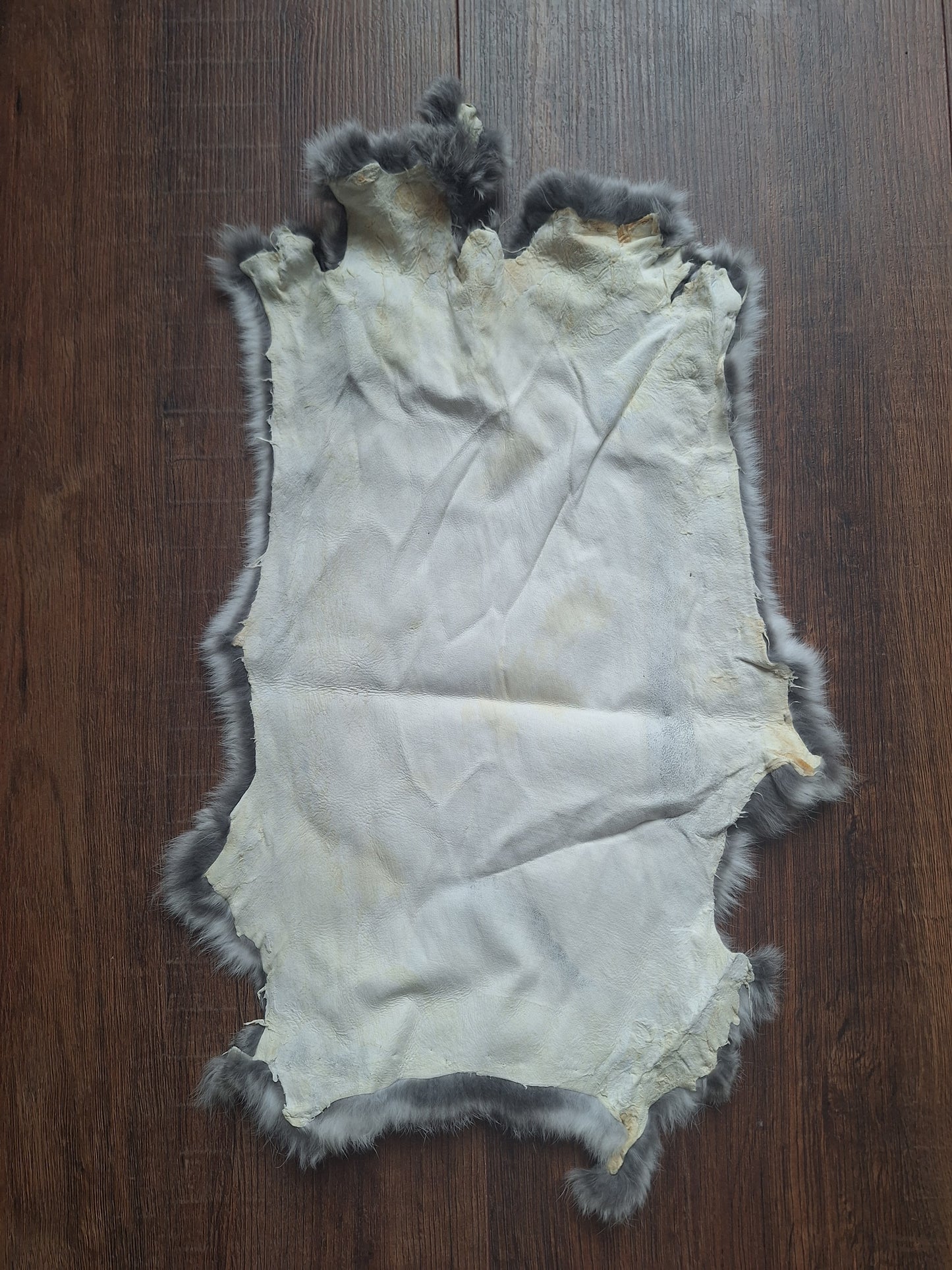 Rabbit hide #19