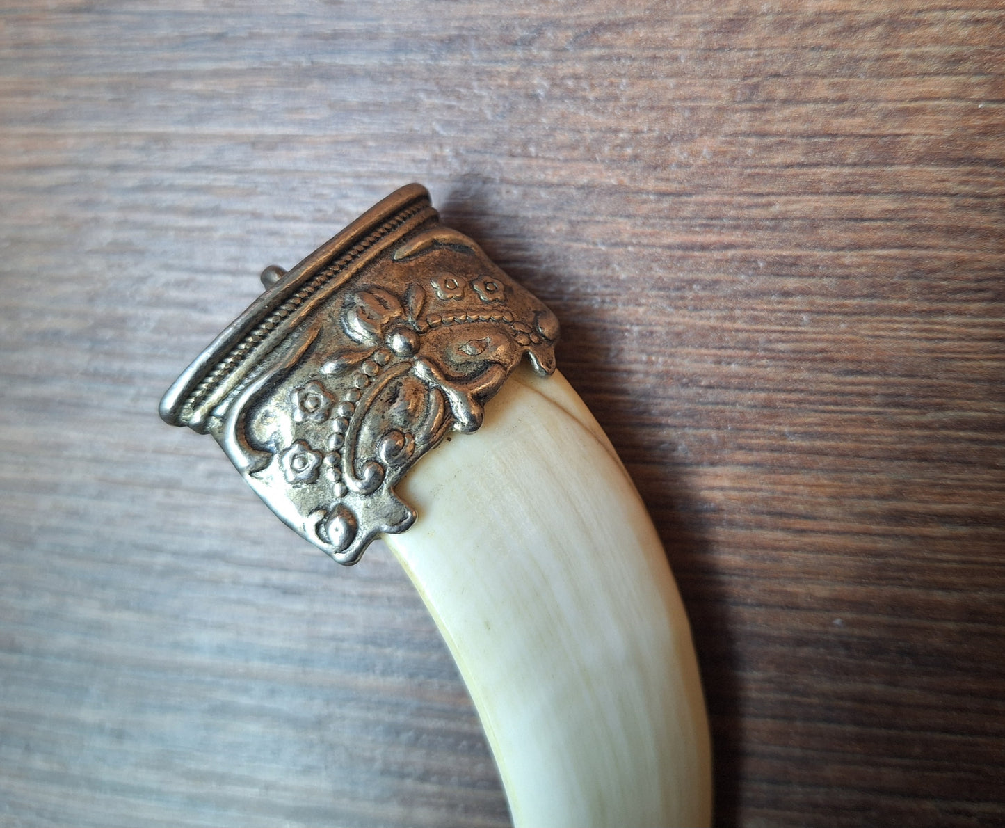 Vintage Nepalese wild boar tusk pendant