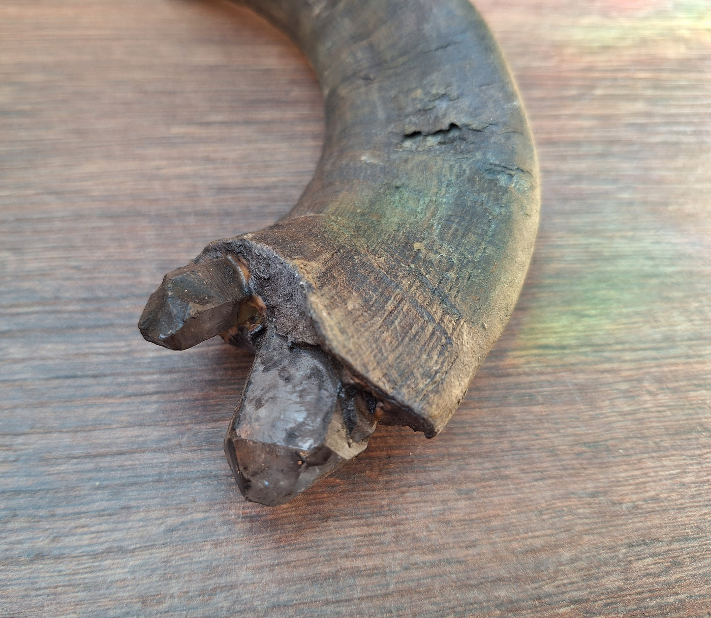 Old Nepalese shamanic horn stick #4