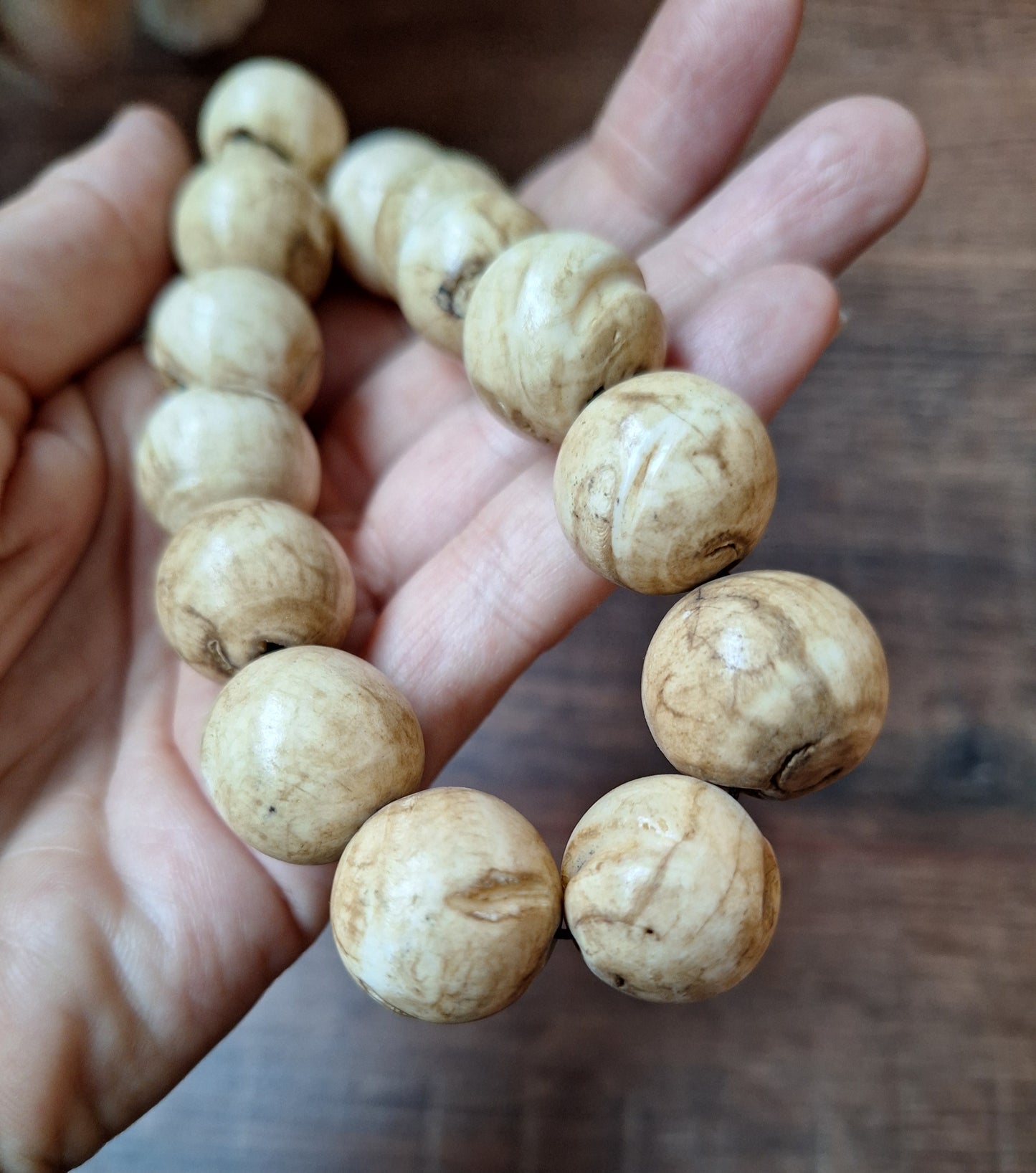 Old Nepalese conch shell necklace