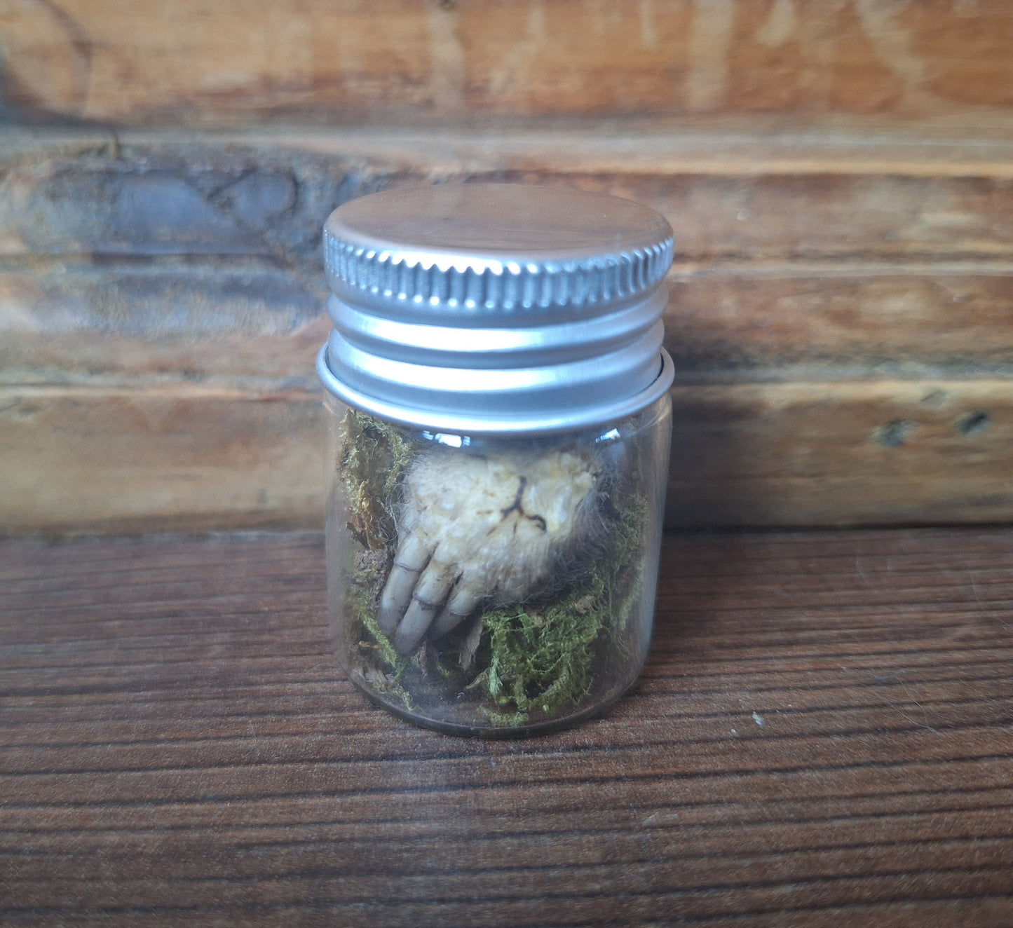 Mole paws in glass bottle