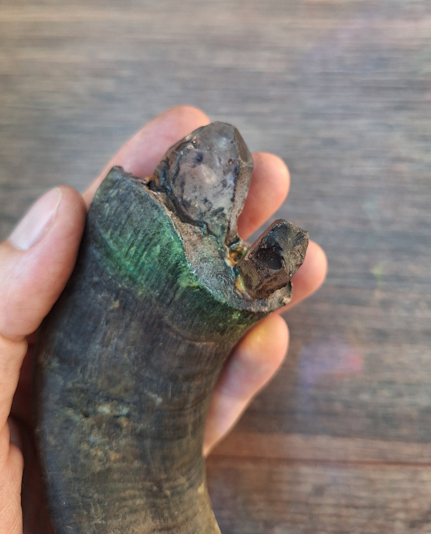 Old Nepalese shamanic horn stick #4
