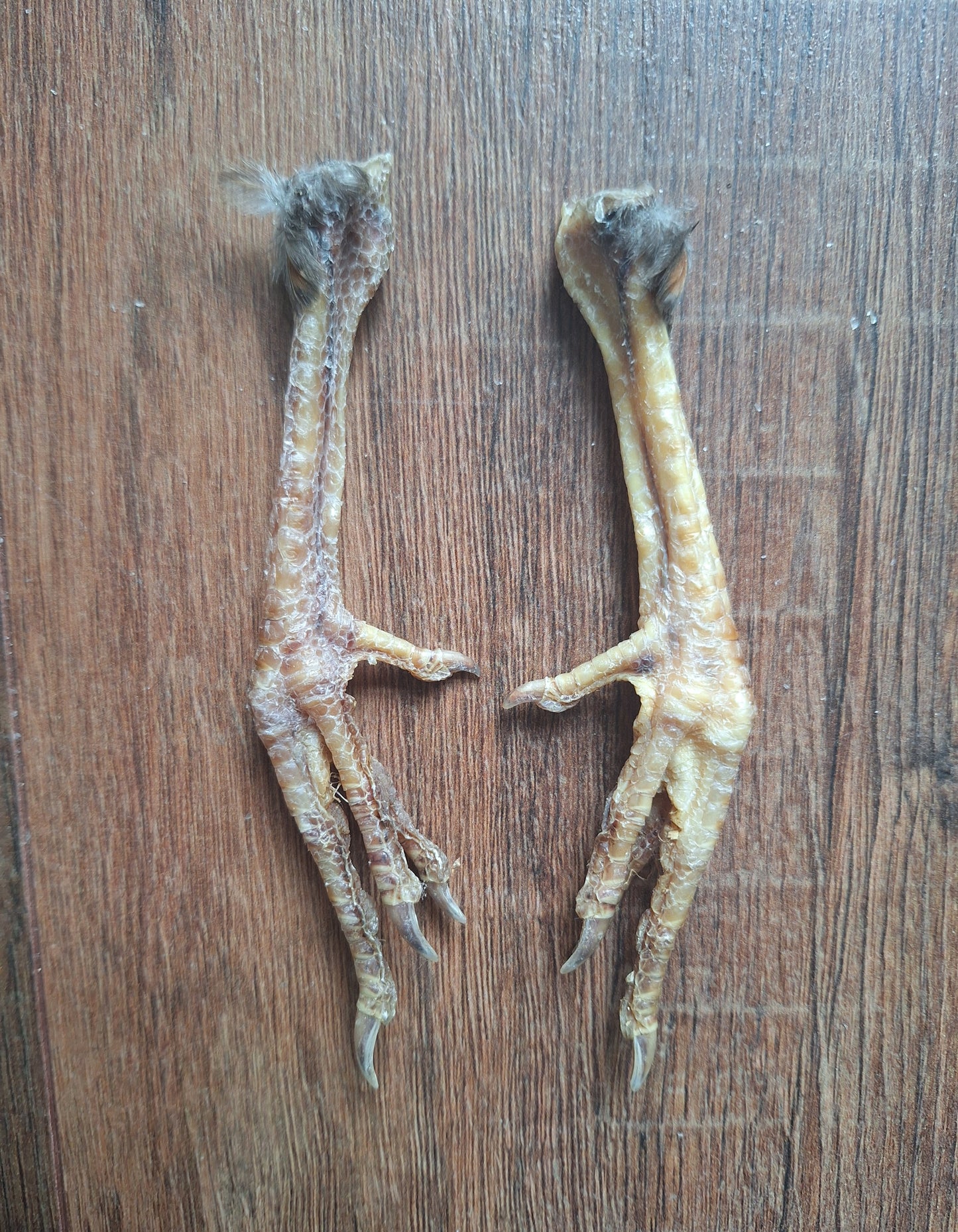 Chicken lower legs, set of 2