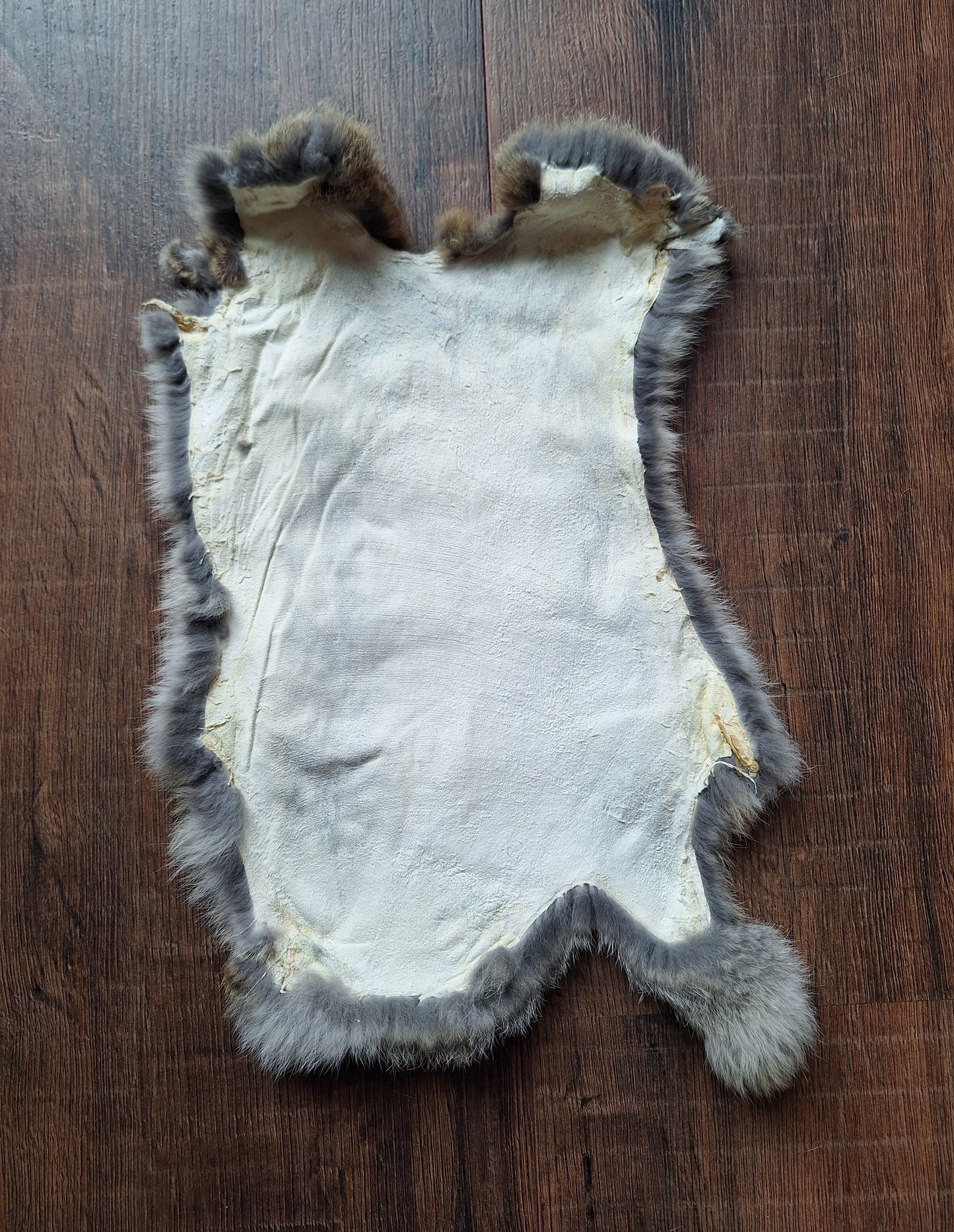 Rabbit hide #10