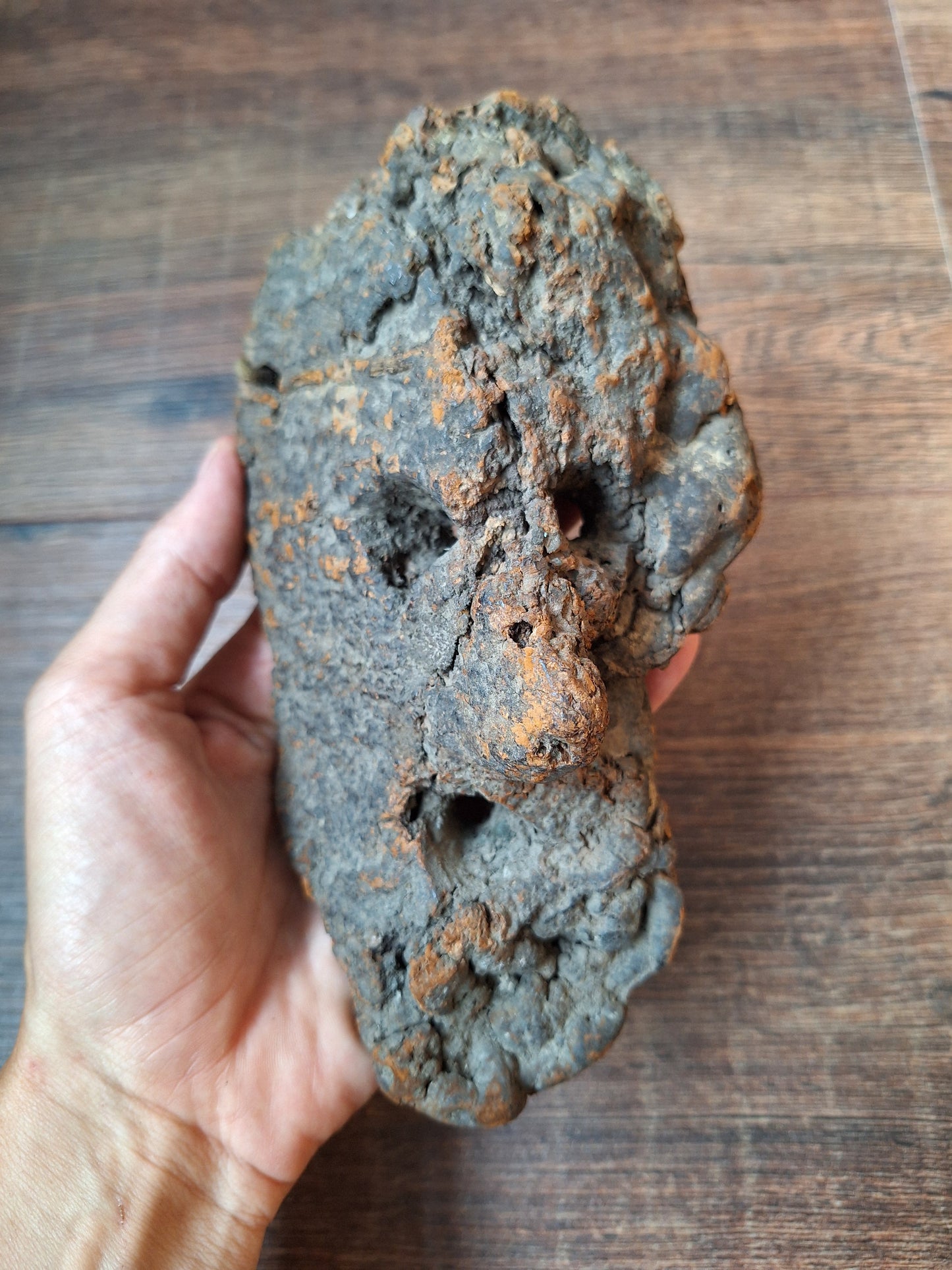 Antique Nepalese mushroom mask #9
