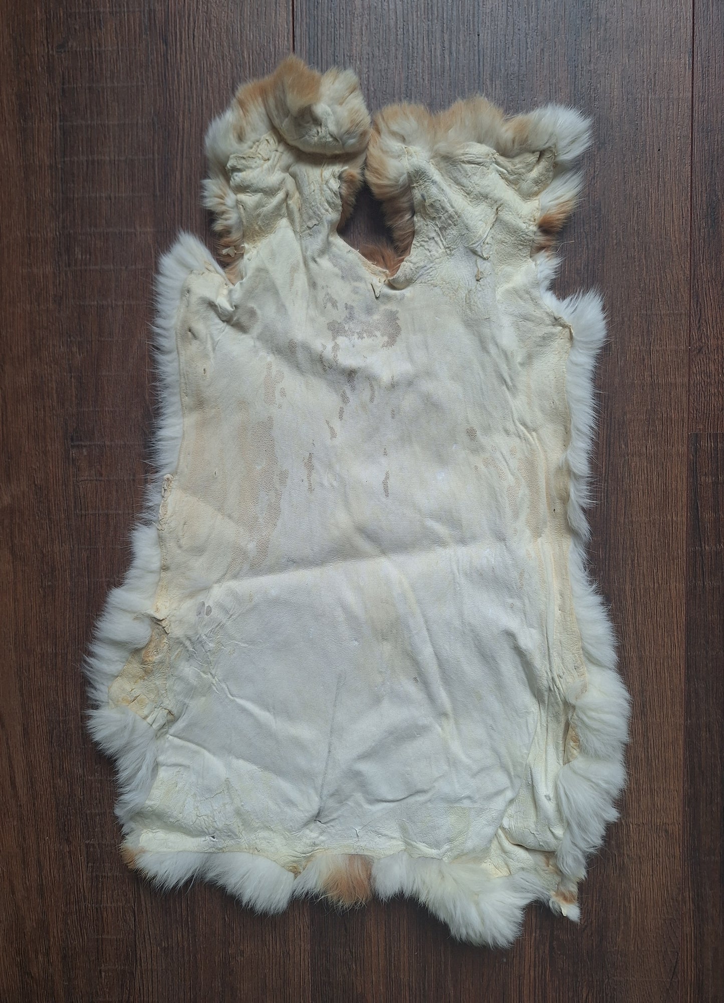 Rabbit hide #28