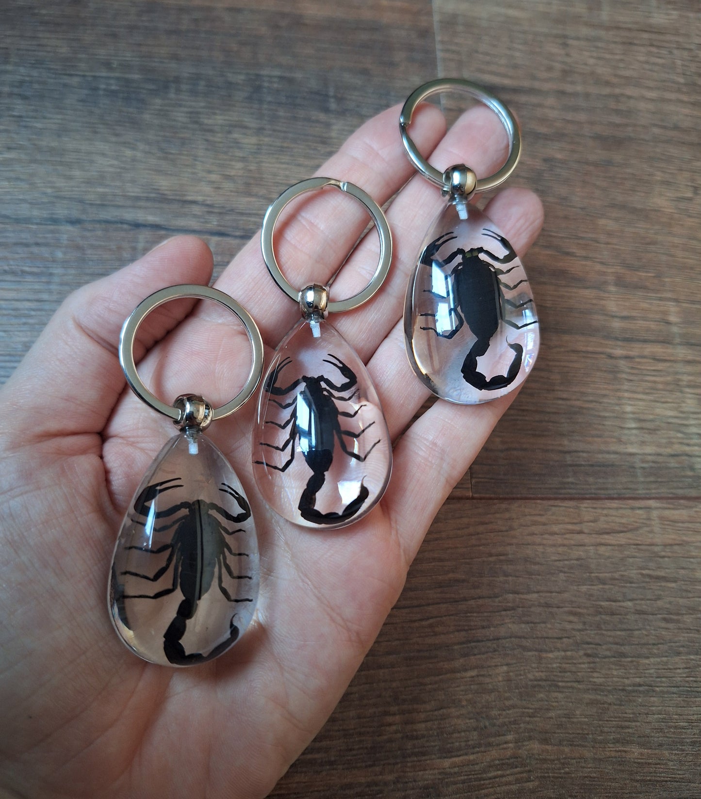 Scorpion in resin keychain