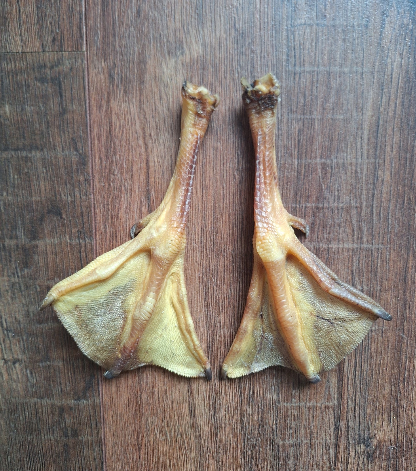 Goose lower legs, set of 2