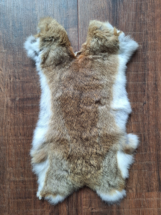 Rabbit hide #7
