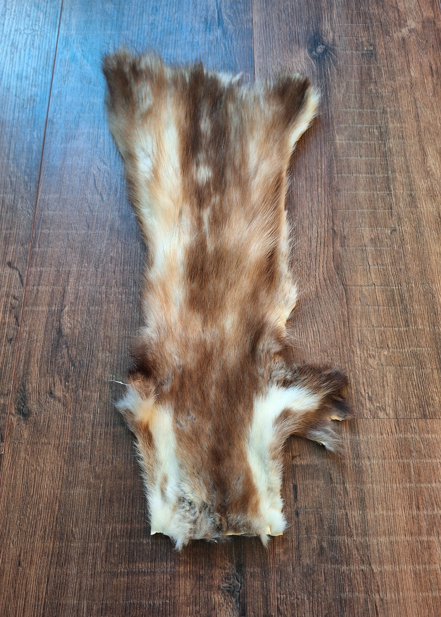 Stone marten hide #7, crafting piece