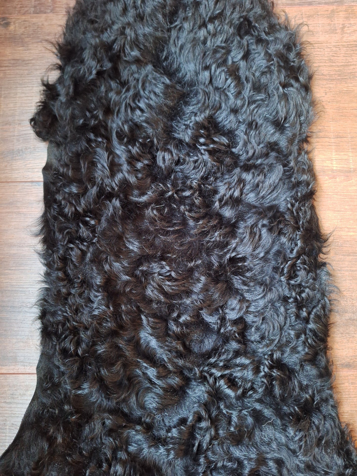 Tigrado sheep hide #2