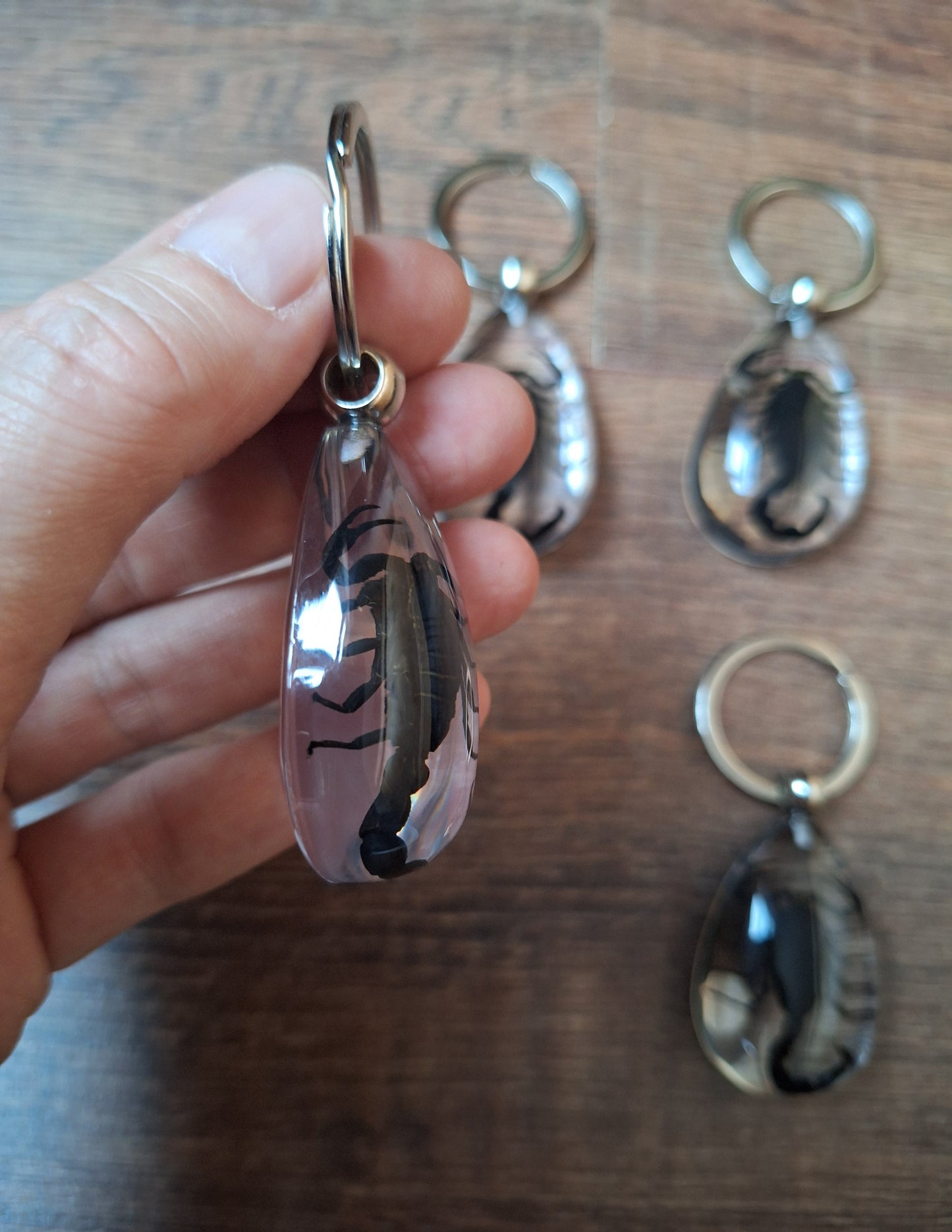 Scorpion in resin keychain