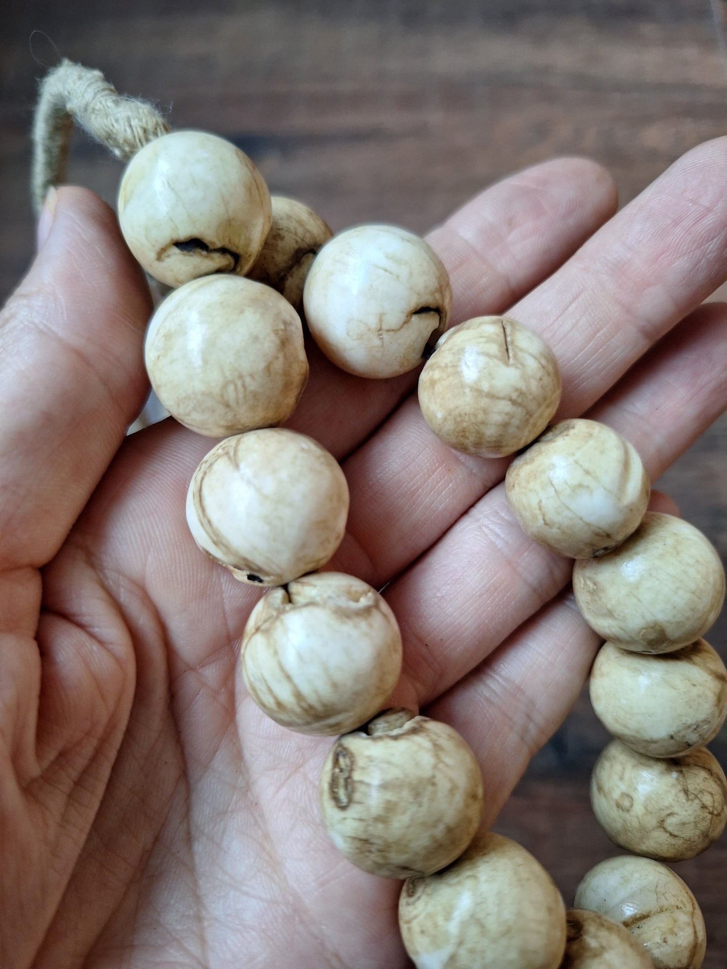 Old Nepalese conch shell necklace