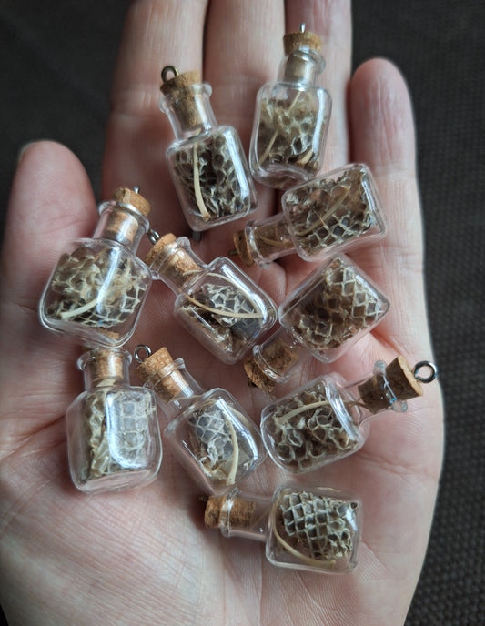 Mini bottle Snake #1