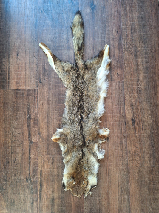 Cape fox hide #5, B-quality