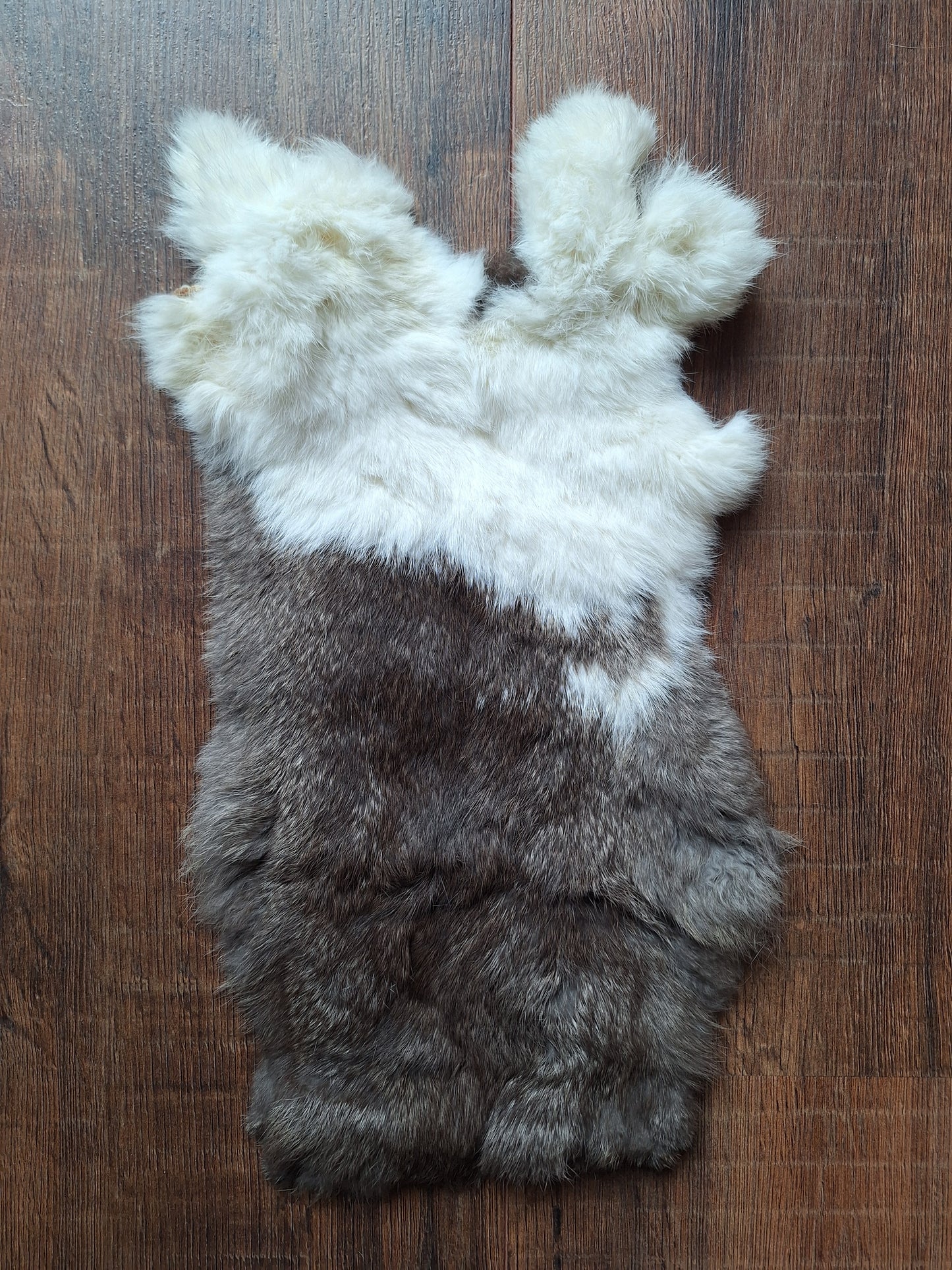 Rabbit hide #6