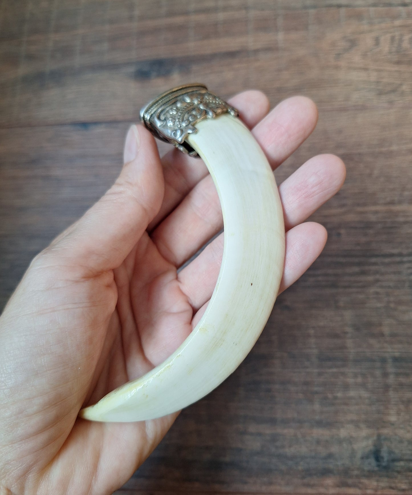 Vintage Nepalese wild boar tusk pendant