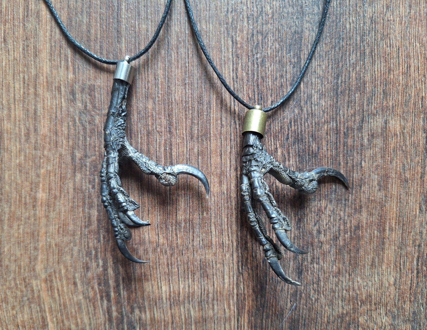 Crow claw amulet necklace
