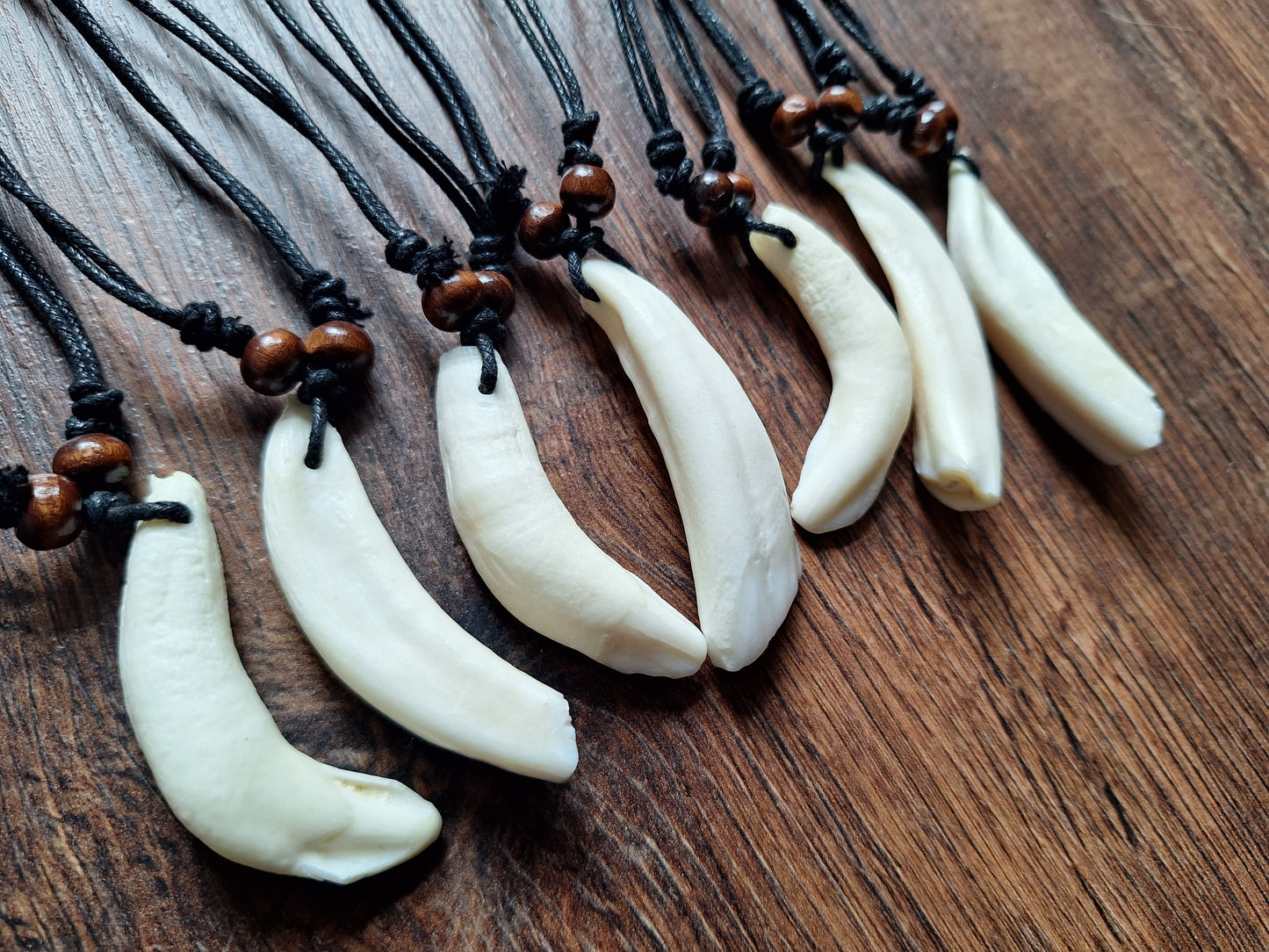 Camel tooth necklace
