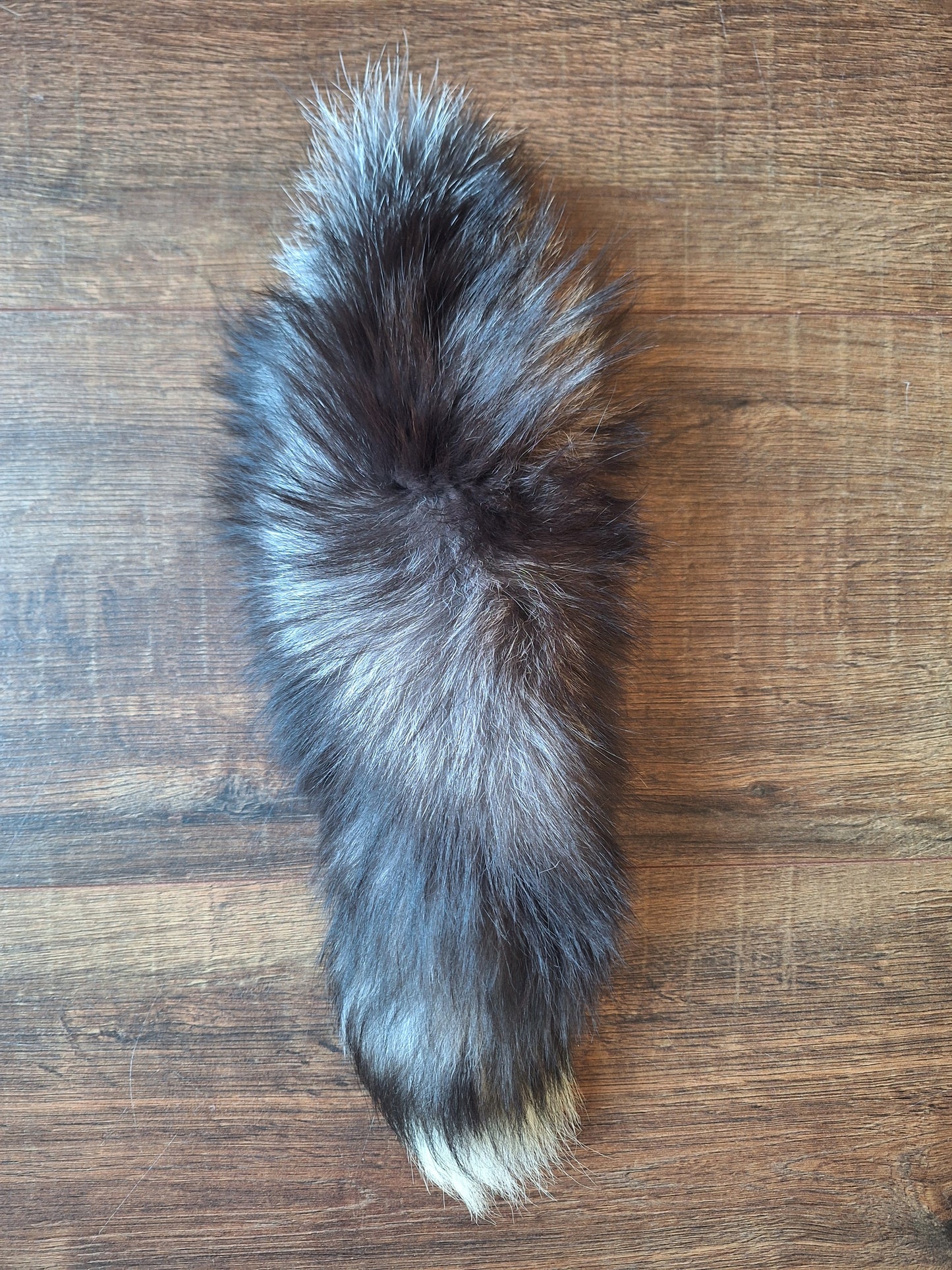 Silver fox tails