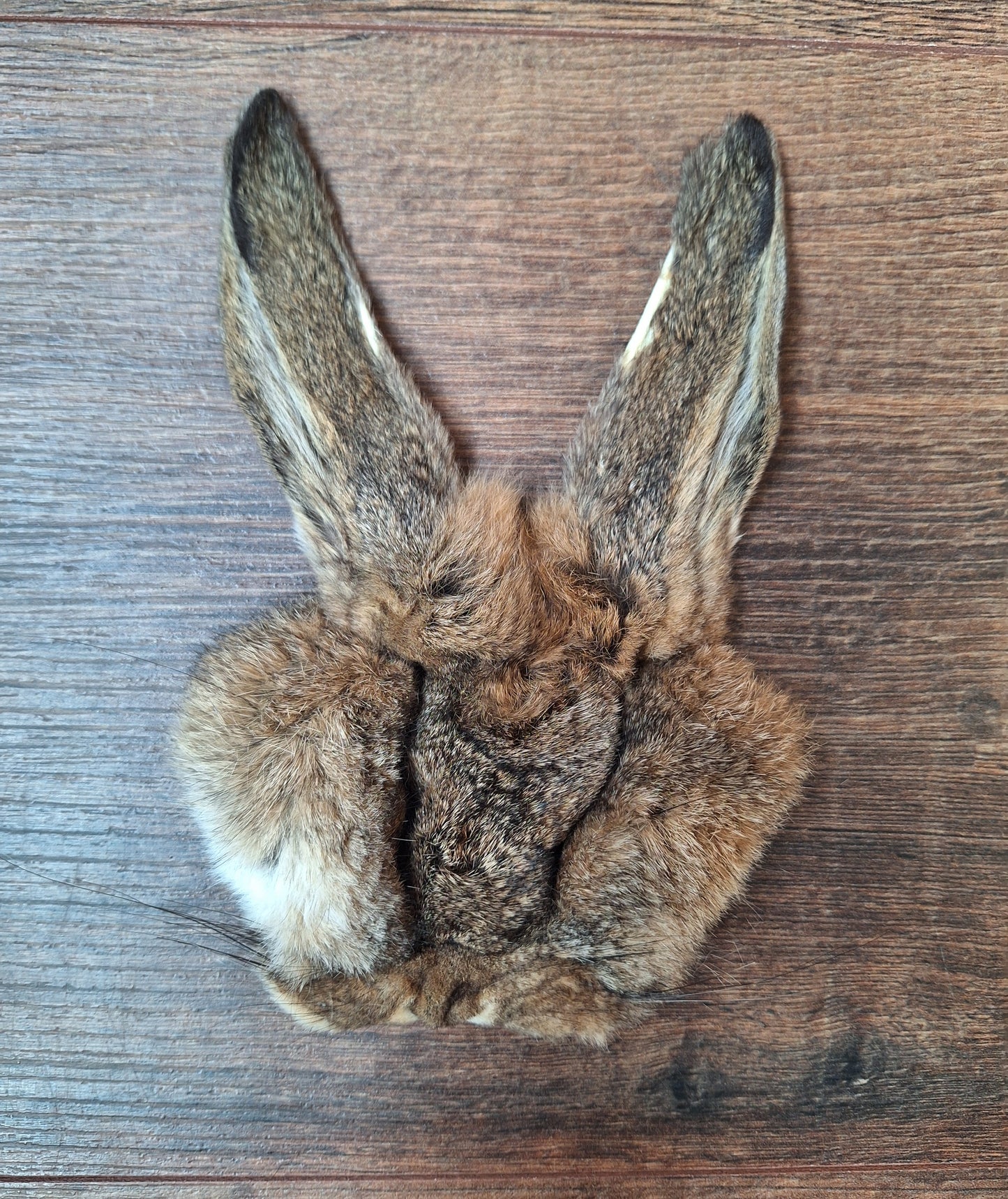 Hare head skins