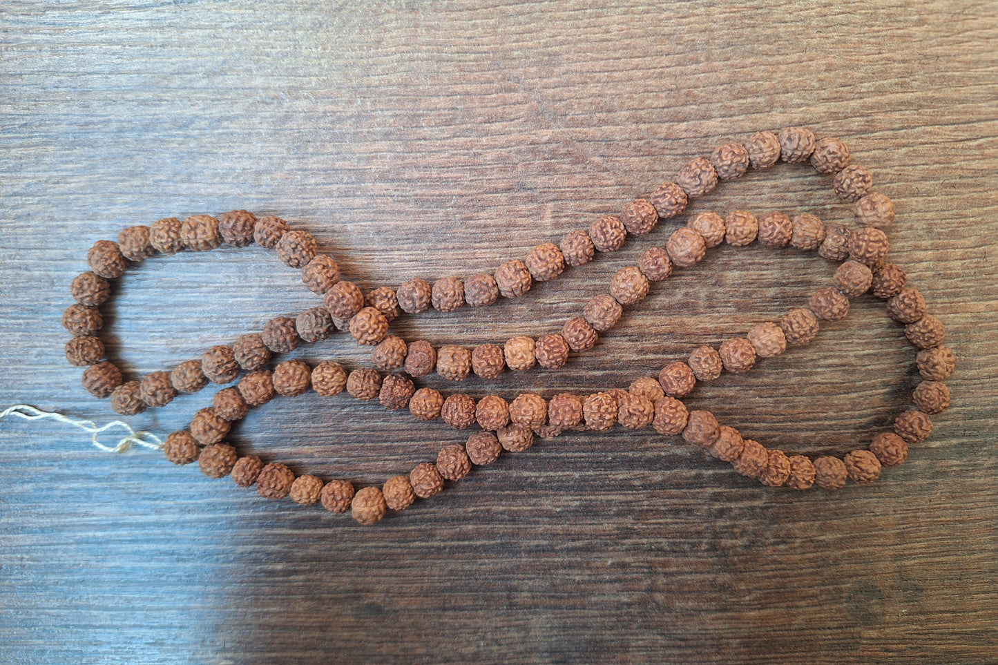 Rudraksha bead strand