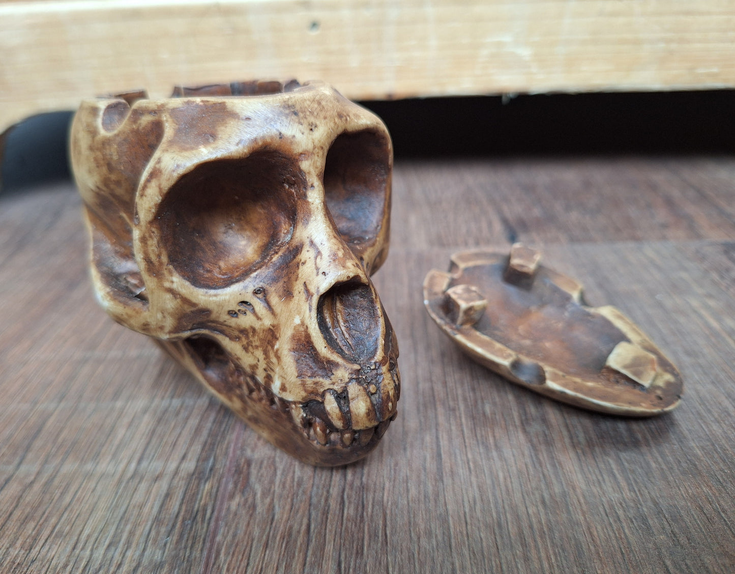 Resin monkey skull kapala