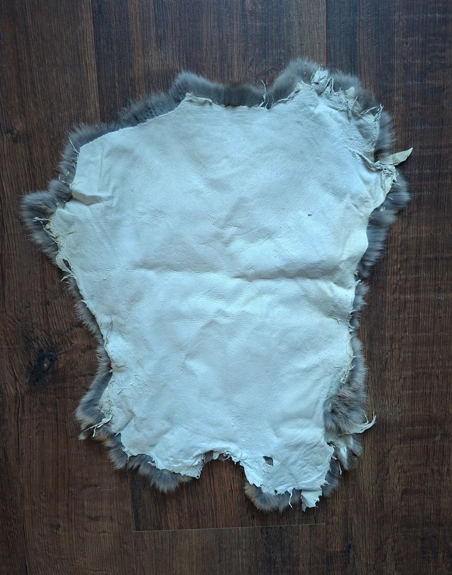 Rabbit hide #30