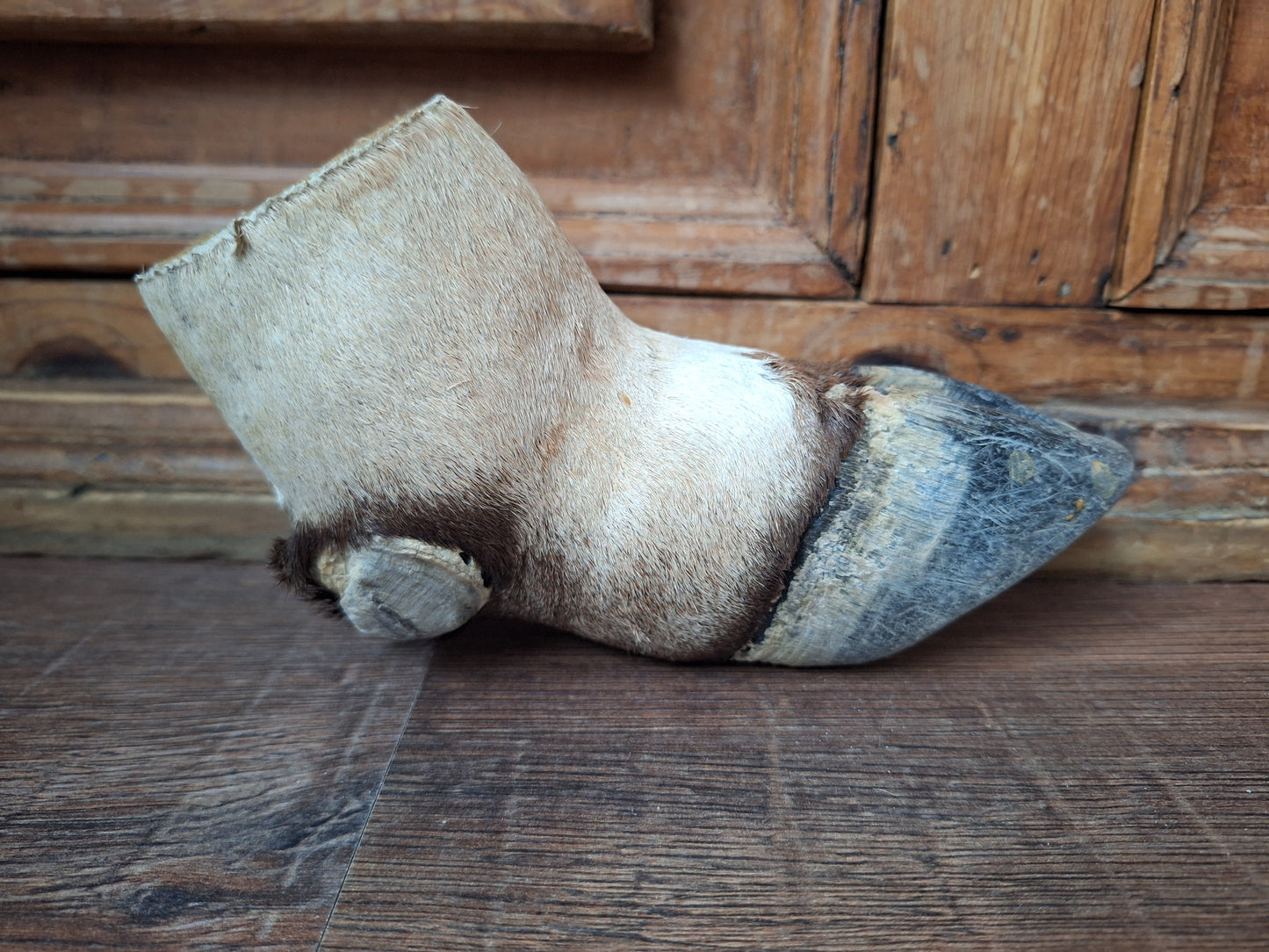 Vintage gemsbok foot
