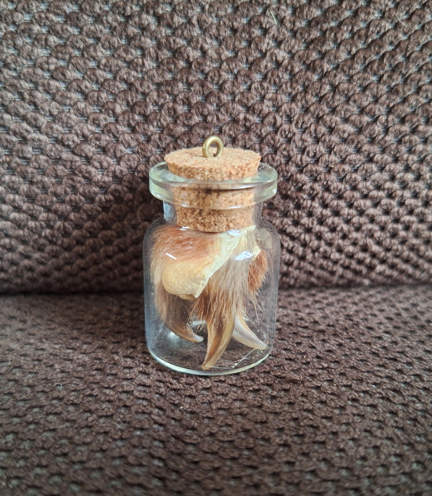 Fox nails bottle