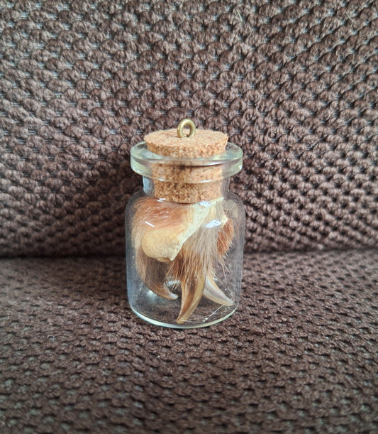Fox nails bottle