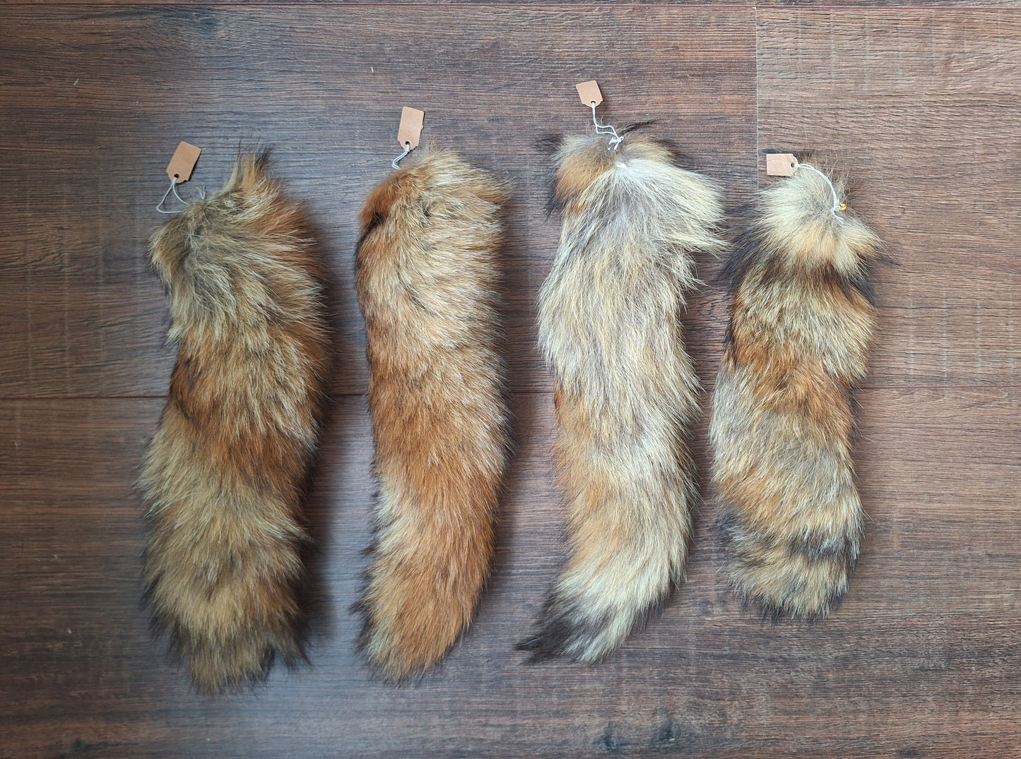 Red fox tails