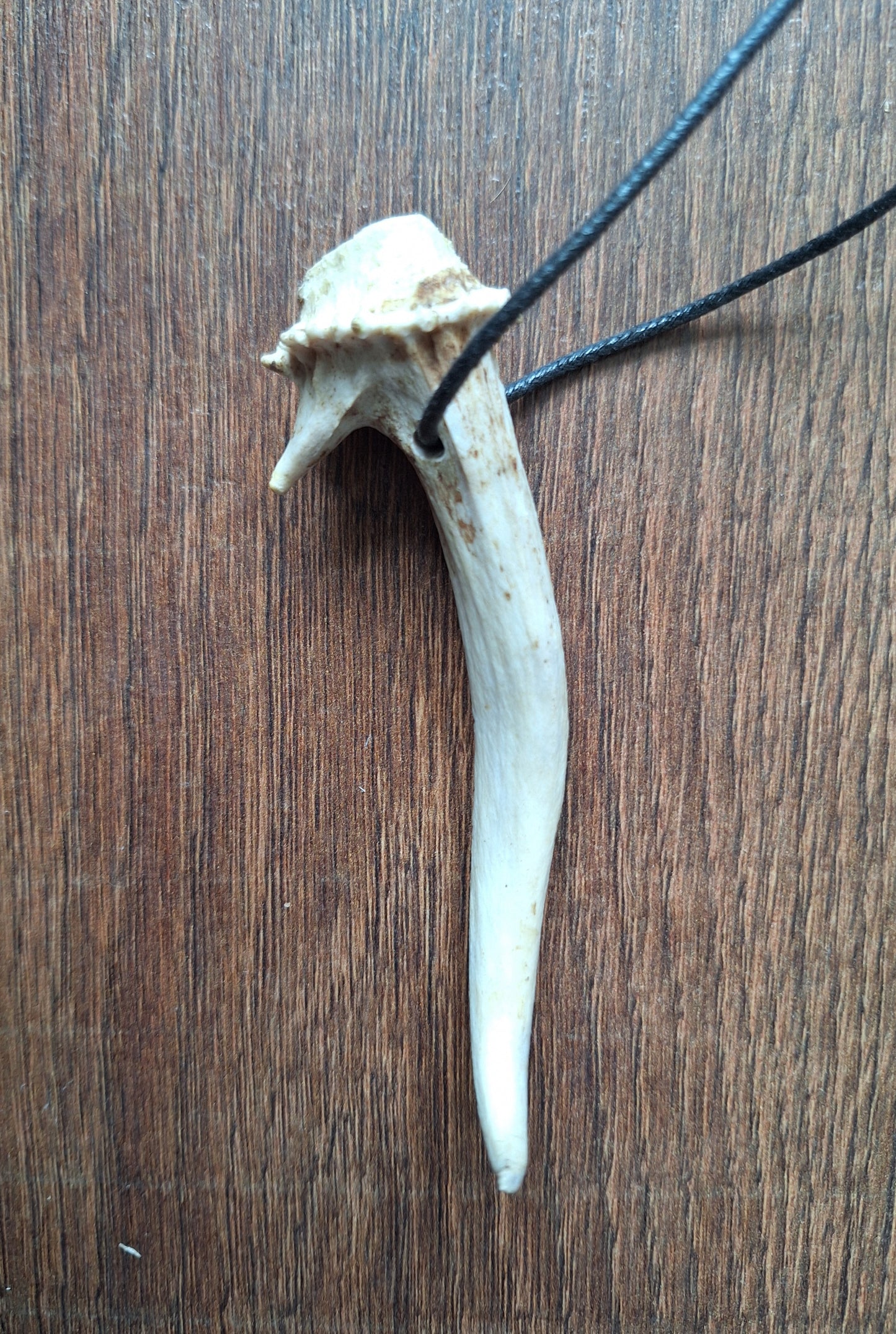Roe deer antler necklaces