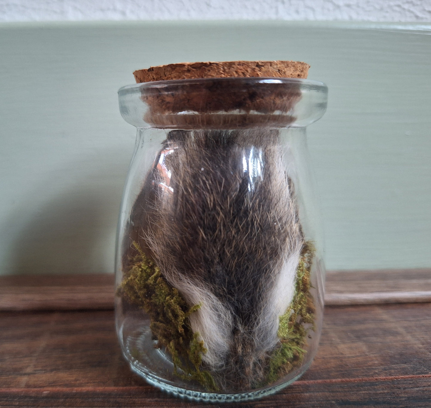 Rabbit ears and tail set in glass jar