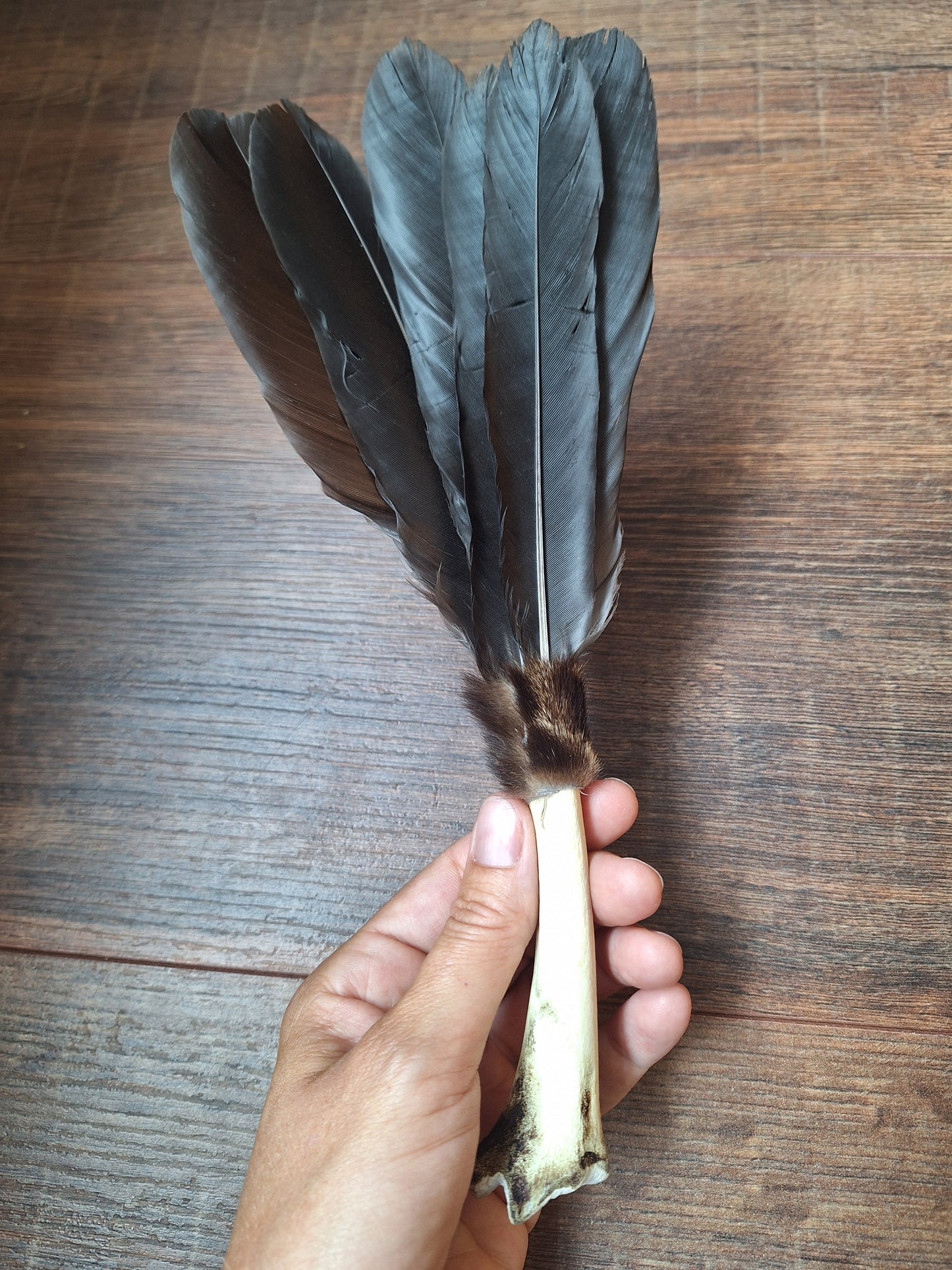 Bone feather fan Crow