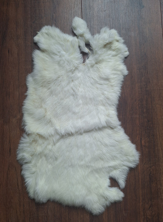 Rabbit hide #21