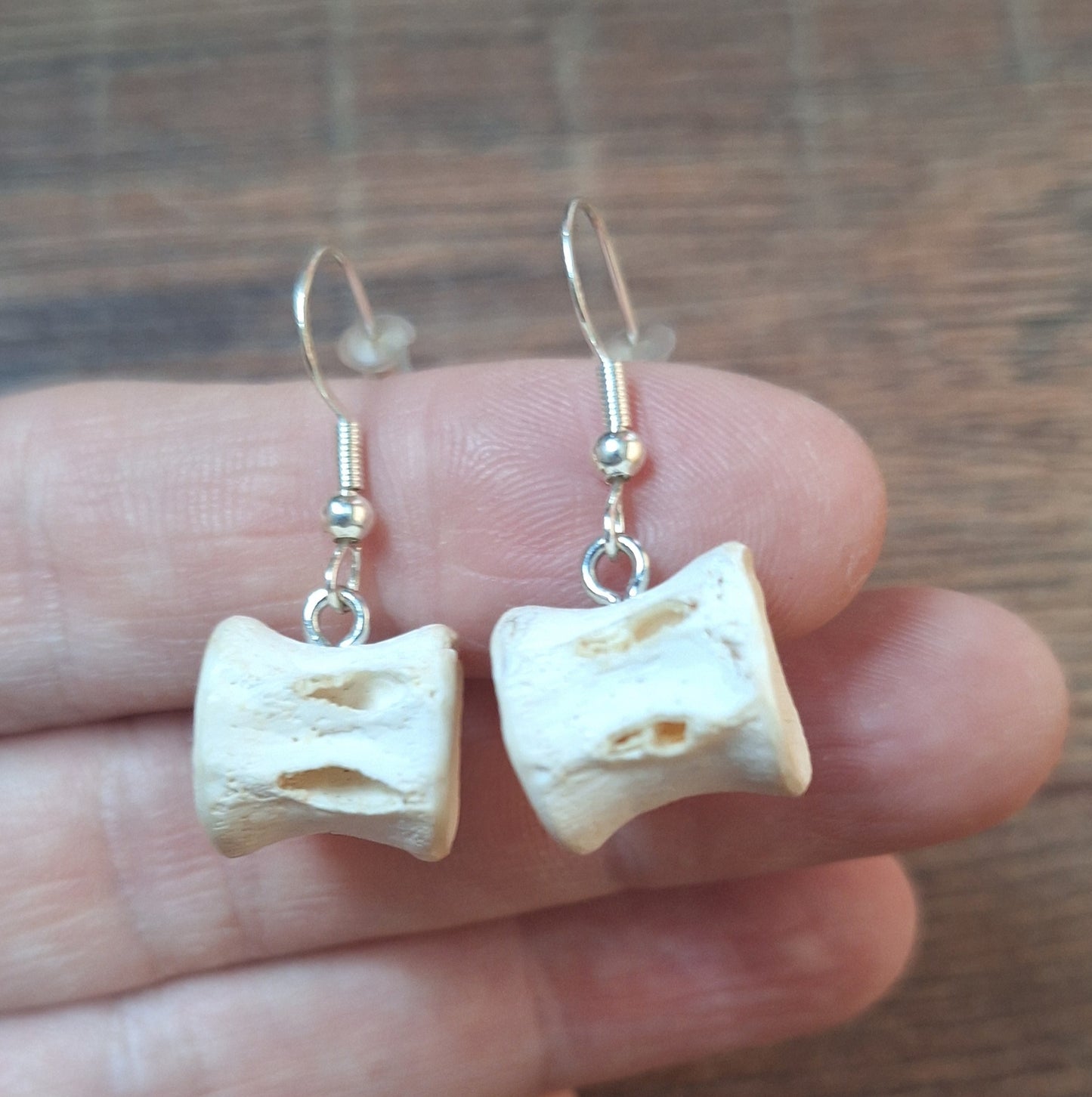Shark vertebrae amulet earrings