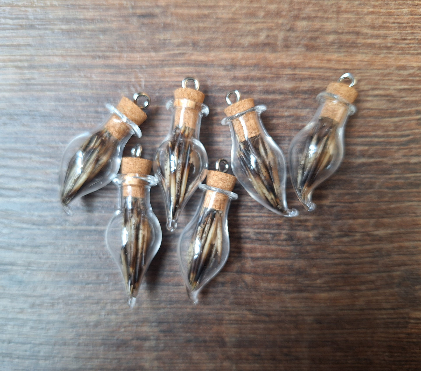 Mini bottle hedgehog spikes