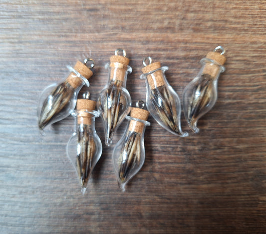 Mini bottle hedgehog spikes