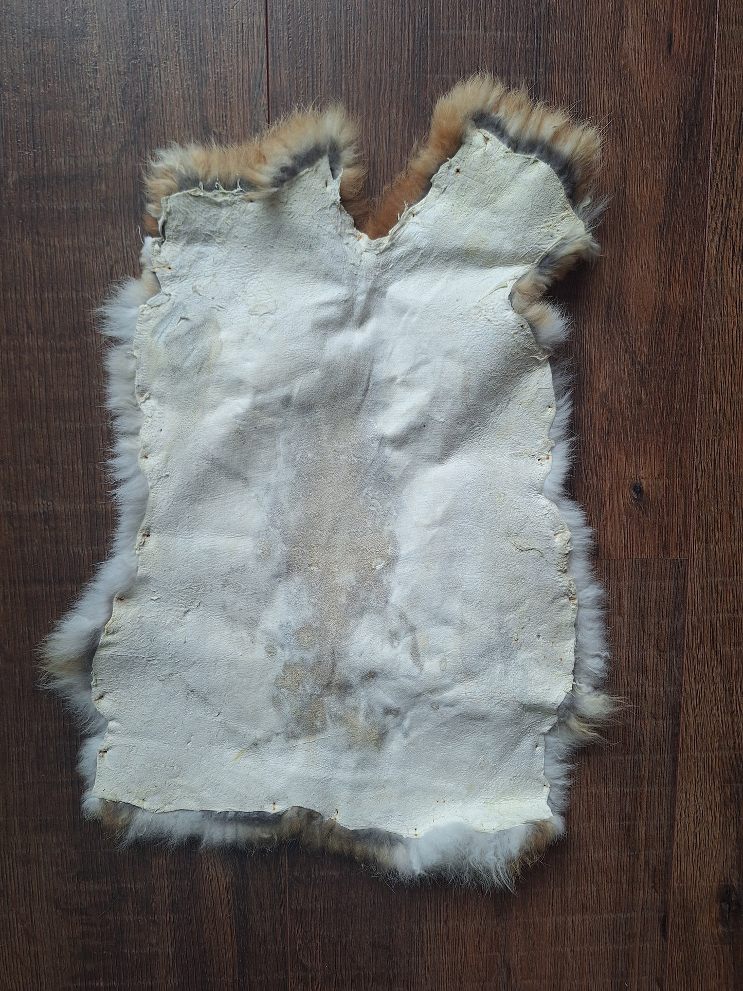 Rabbit hide #14