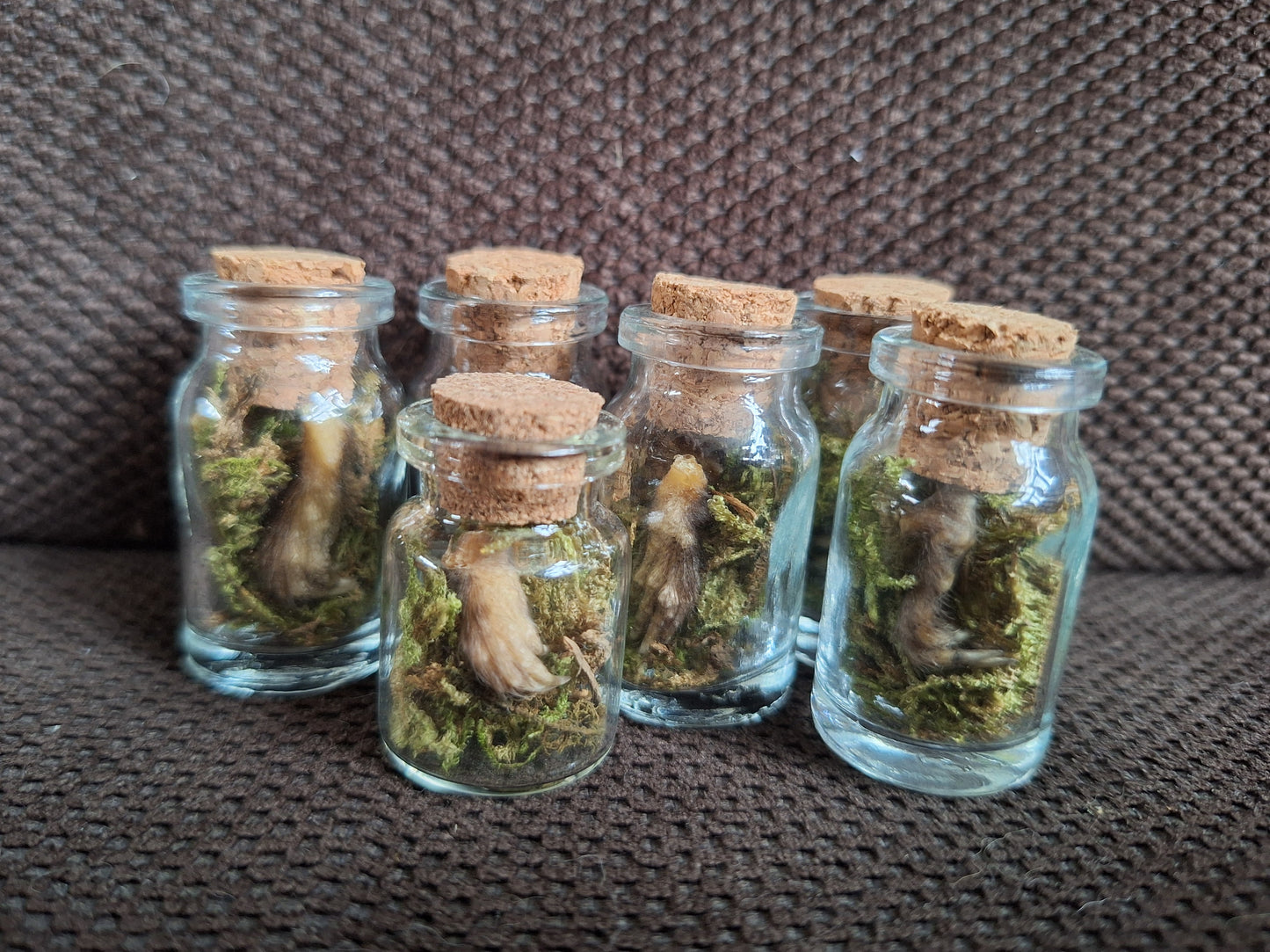 Mole paws bottle