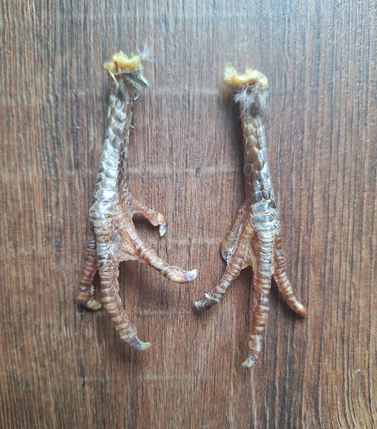 Chicken lower legs, set of 2